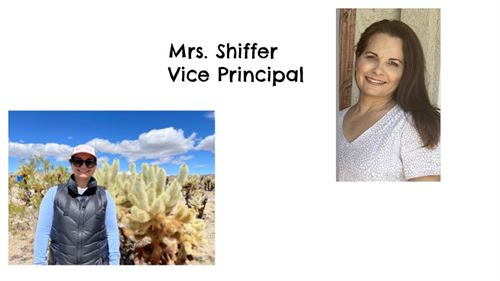 Terri Shiffer, Vice Principal
